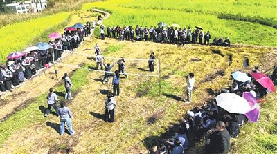 开云分部-气排球比赛走进乡村|拉欧村|黔南日报|戴友维|荔波县融媒体中心|黔南布依族苗族自治州_新浪体育_新浪新闻